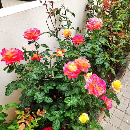 דירות וגה דה סן מטאו La Orquidea מראה חיצוני תמונה